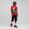 Toro Bravo 4s DopeSkill T-Shirt Stressless Graphic